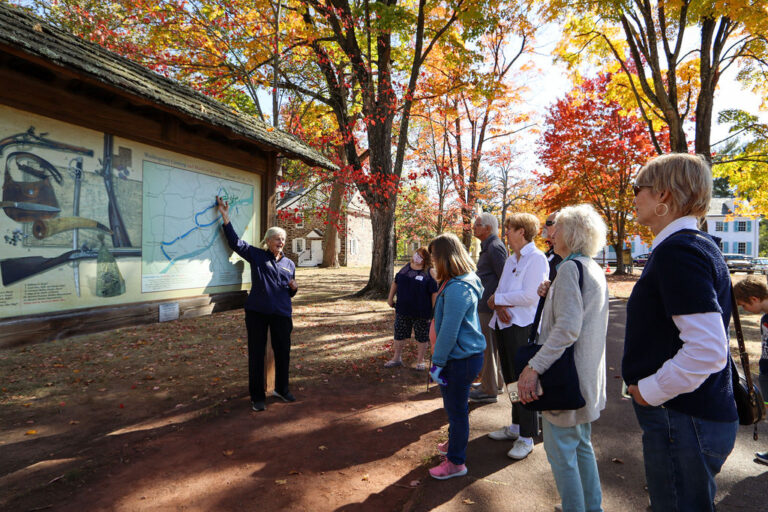 Area Map and Fall Trees at Washington Museum